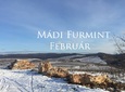 Mádi Furmint Február