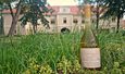 Helia-D Herba-kastély - Több mint borkostoló…