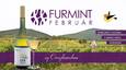 Furmint Február az Oroszlánosban