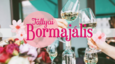 Izgalmas boros- és gasztroprogram a hosszú hétvégére - ha szereted a tállyai bort, ezt neked találták ki!