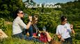 Piknik & dűlőtúra | Barta Pince