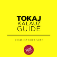 TOKAJGUIDE bemutató Disznókő-dűlőtúrával