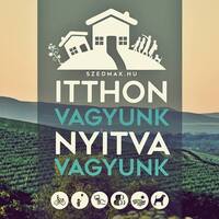 Itthon vagyunk! Nyitva vagyunk! - Szedmák Borház