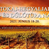 Tokaj-hegyaljai bor- és dűlőtúra napok