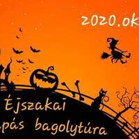 7th Pumpkin lantern owl tour at night
