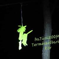 Lucy's day Witch-tour