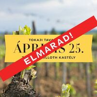 ELHALASZTVA - Tokaji Tavasz 2020