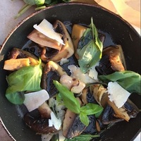 Bodrog-Party Gastro
