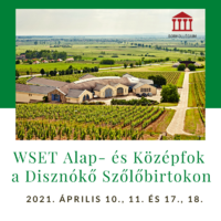 WSET Alap- és Középfokú képzés a Disznókő Szőlőbirtokon | Borkollégium