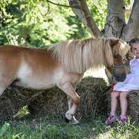 Állatsimogató foglalkozás | Tőzike Állatudvar
