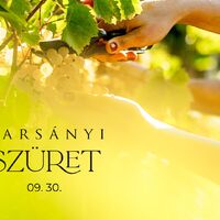 Harsányi szüret