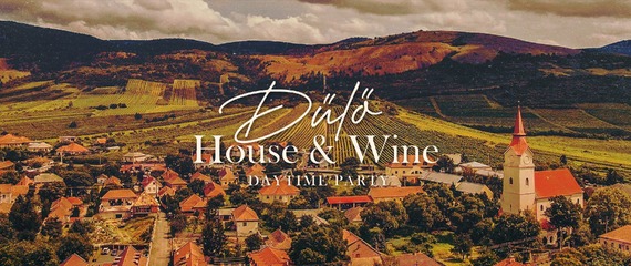 Dűlő House and Wine Rakonczai | Tállya
