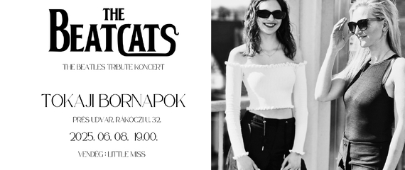 The Beatcats | Tokaji Bornapok