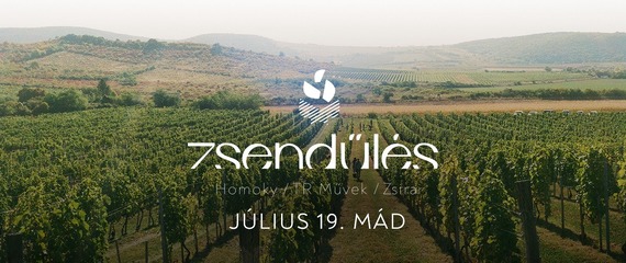 Zsendülés a szőlőben - 2025 | Mád