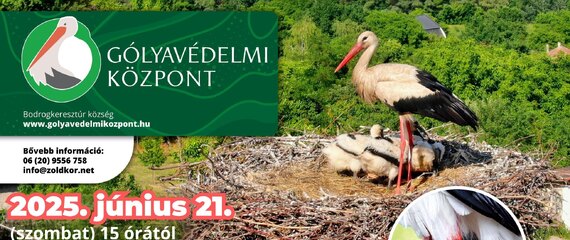 Gólyafióka gyűrűzési bemutató | Gólyavédelmi Központ