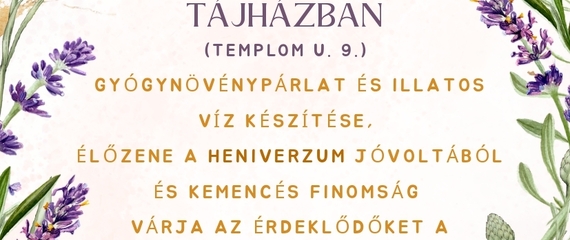 BOLDOGkisfalud Feszt a Bodrogkisfaludi tájházban