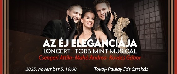 Az Éj Eleganciája - Több, mint musical