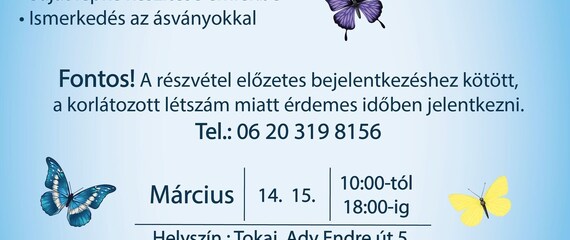 Kézműves nap a Lepke- és Ásványkiállításban!