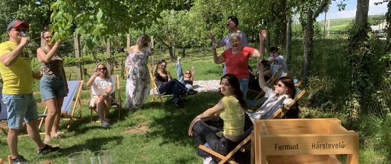 Piknik a szőlőben! | Szedmák Borház