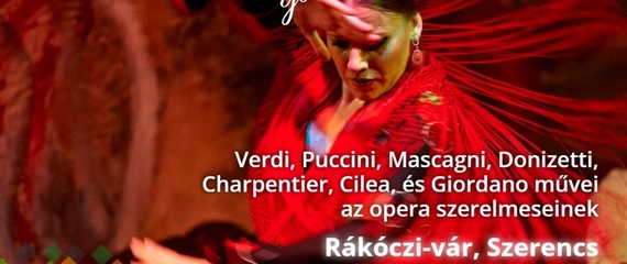 Nemzetközi Operagála Nemzetközi Operagála
