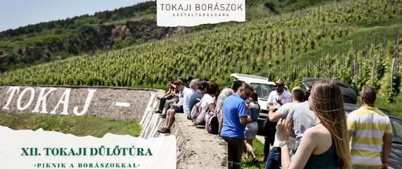 XII. Tokaji dűlőtúra - piknik a borászokkal XII. Tokaji dűlőtúra - piknik a borászokkal